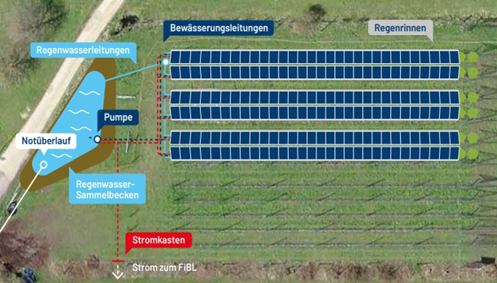 Schematische Darstellung der Agri-Photovoltaik-Anlage mit dem Retentionsbecken. (Grafik: Xenia Jöri)